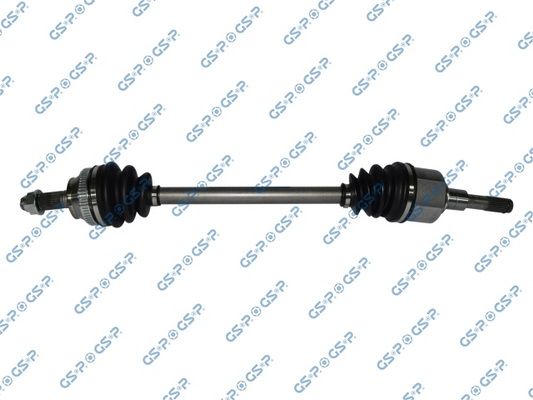 GSP-251025