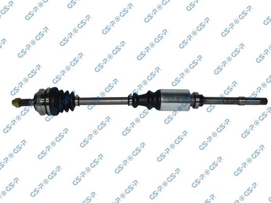 GSP-210174