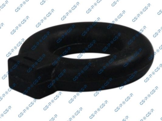 GSP-510021
