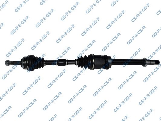 GSP-259519