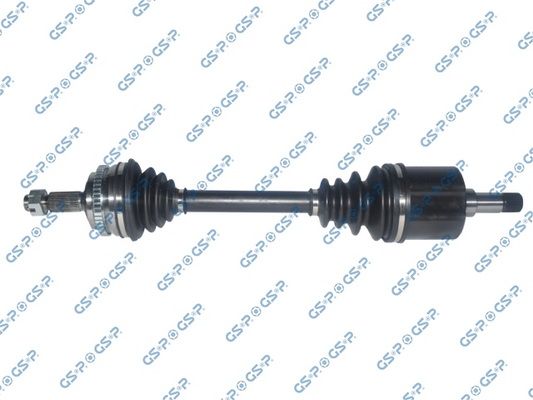 GSP-245166