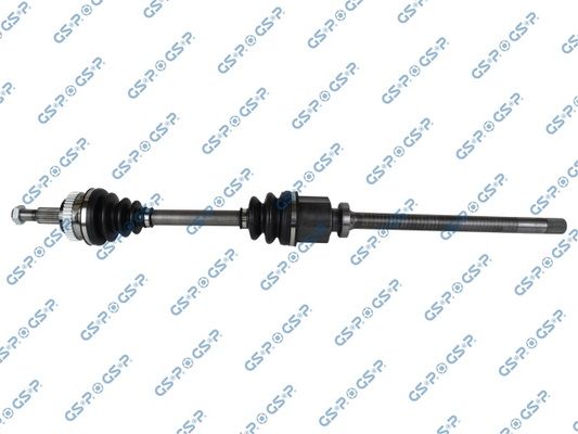 GSP-250019