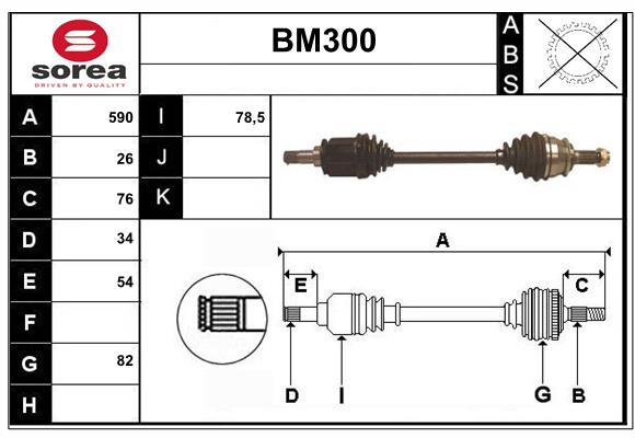 BM300