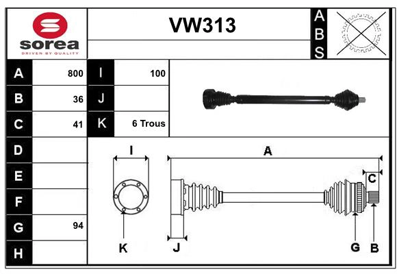 VW313