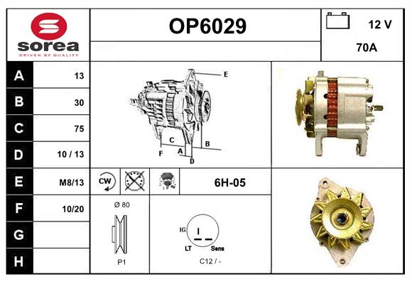 OP6029