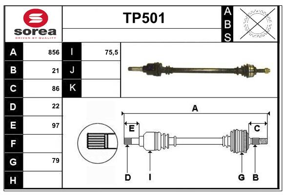 TP501