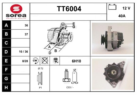 TT6004