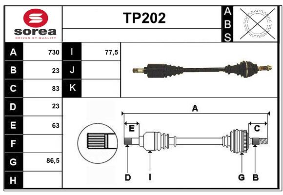 TP202