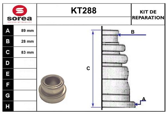KT288
