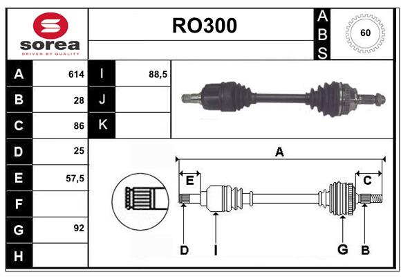 RO300