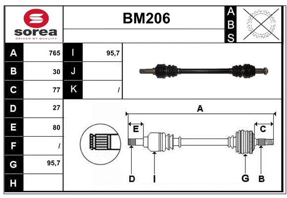 BM206