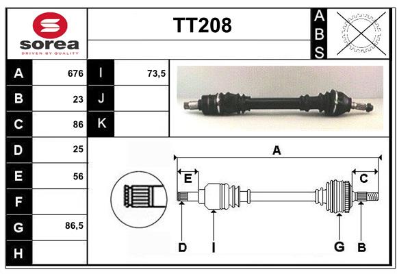 TT208