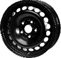 R1101