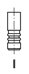 WG1157504