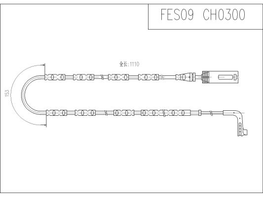 FES09