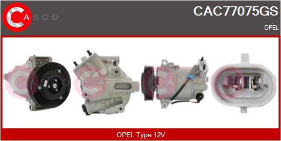 CAC77075GS