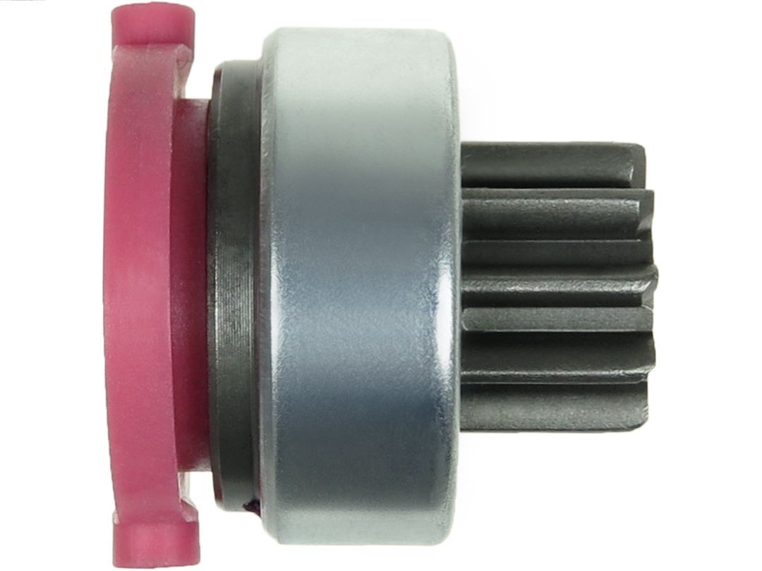 SD1019