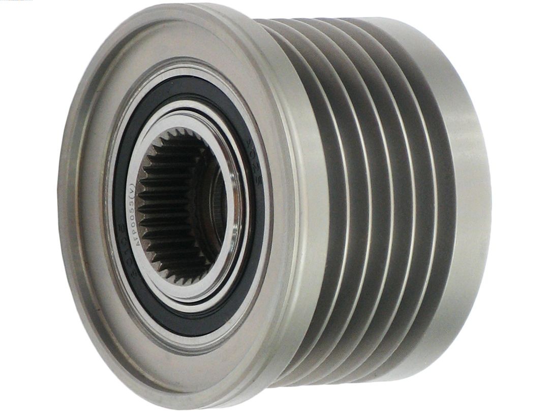 AFP0055(V)