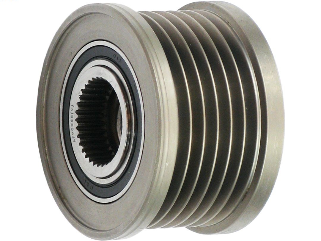 AFP0065(V)