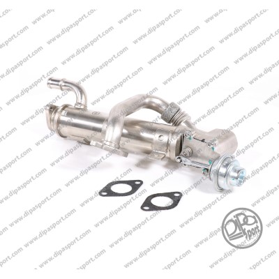 EGR250DPSN
