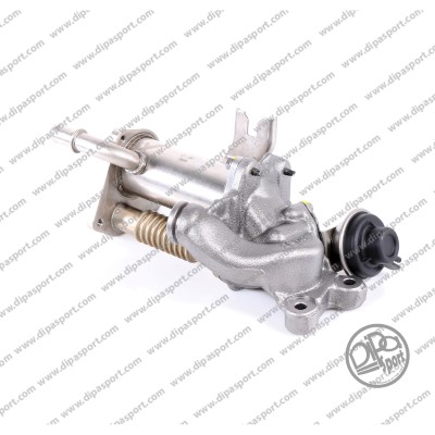 EGR289R