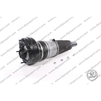 SSAS02864AR
