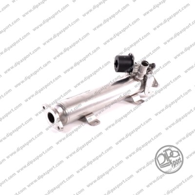 EGR175R