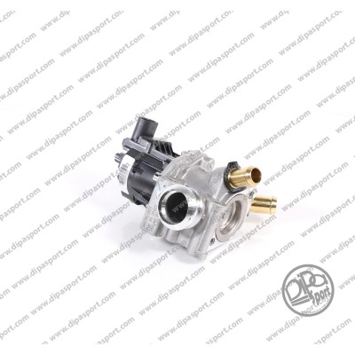 EGR389R