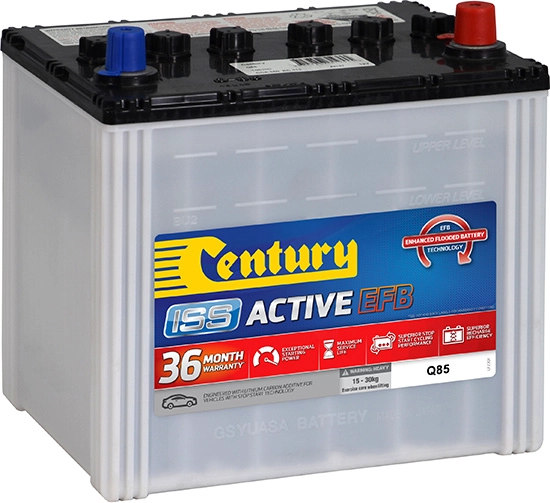 Century Batteries 106100