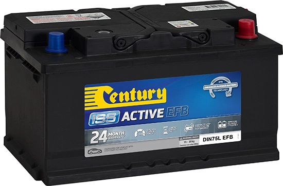 Century Batteries 106117