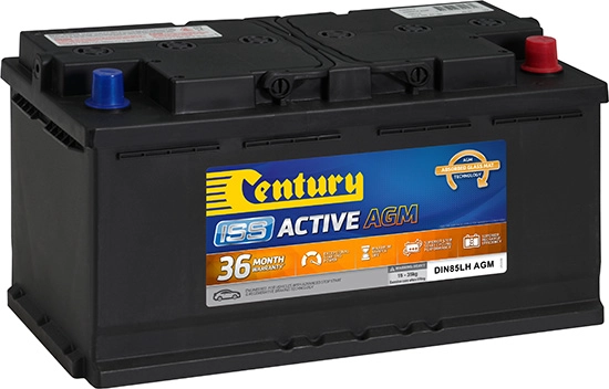 Century Batteries 106125