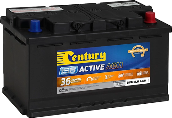 Century Batteries 106124