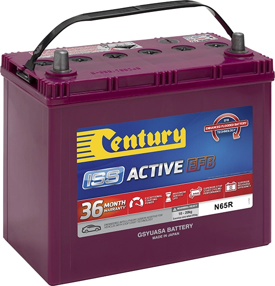 Century Batteries 106129