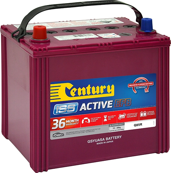 Century Batteries 106110