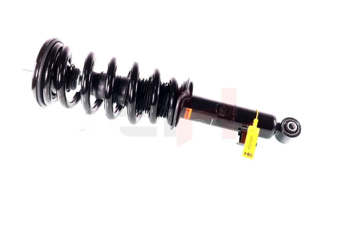 GH-333009C01