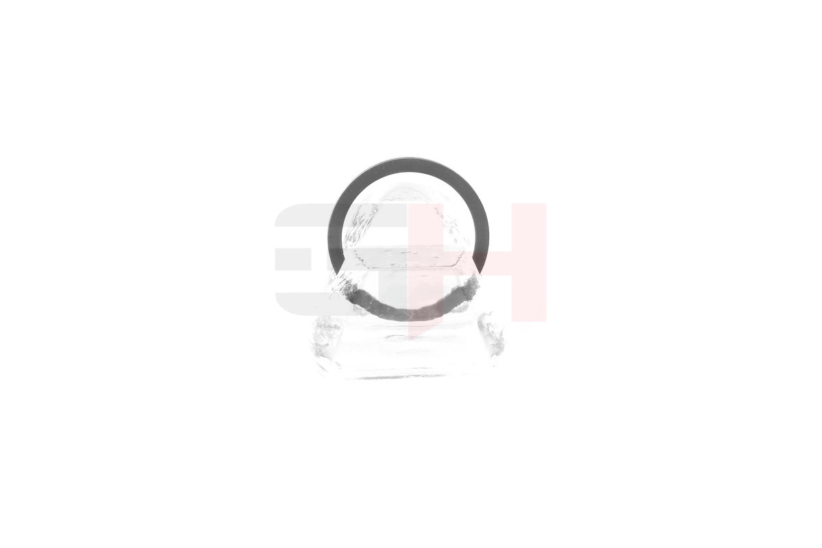 GH-493985