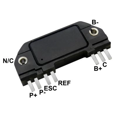 GA2961