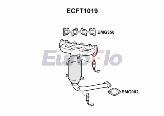 ECFT1019