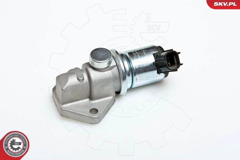 AESP1061BSP