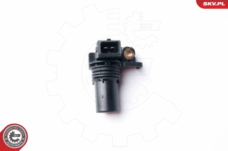 81ABA13209AB1C