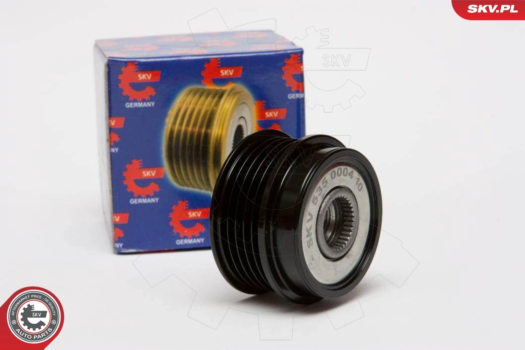 11SKV002