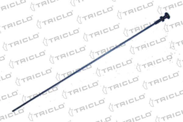 411295