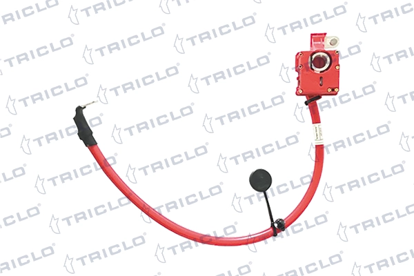 TRICLO 972484