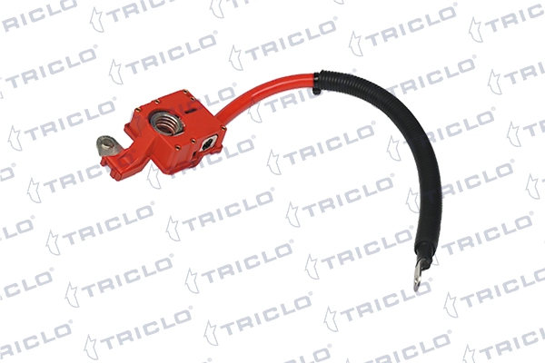TRICLO 972485