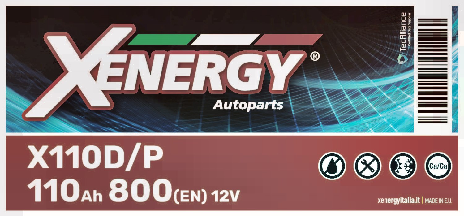 AP XENERGY X110D/P