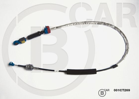 2444CV
