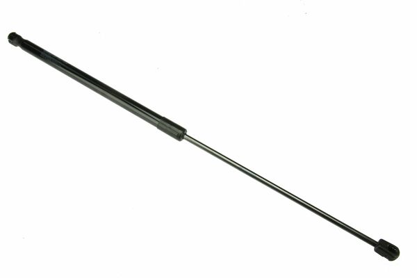 LR025379