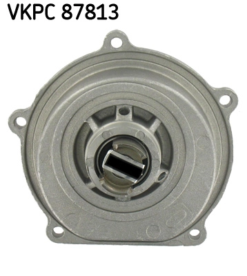 VKPC 87813