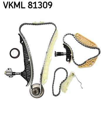 VKML 81309