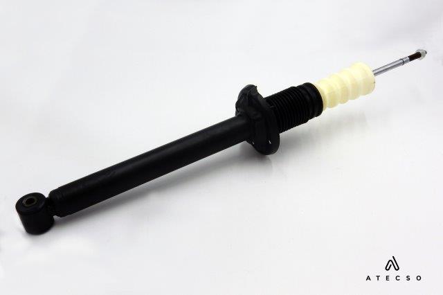 AMT00165
